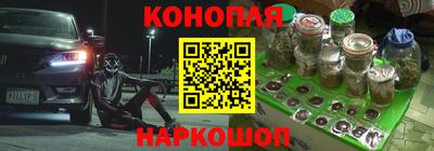 индика Лесосибирск