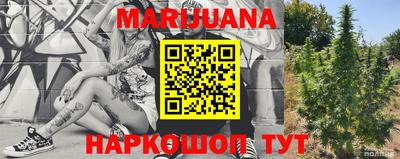 индика Лесосибирск